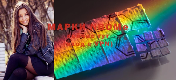 гашик Аркадак