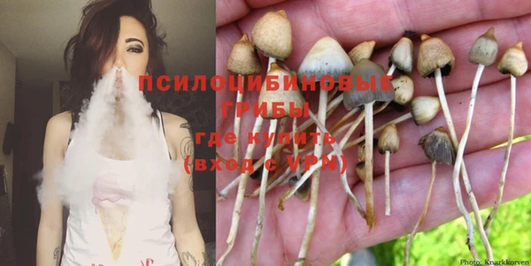 гашик Аркадак